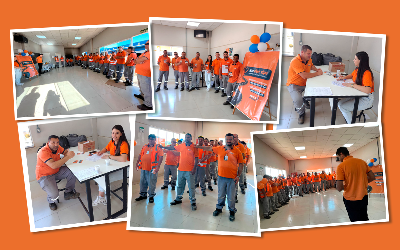 Moodboard de fotos das ações da scala v