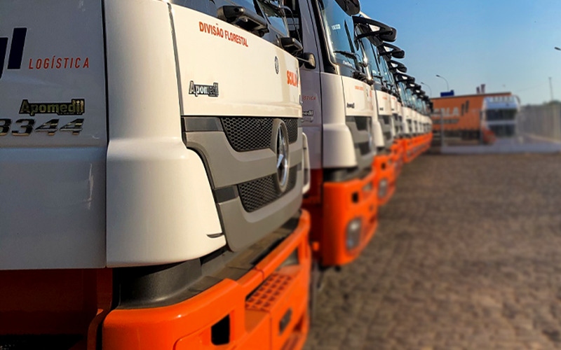 imagem ilustrativa - Uma história chamada Scala: decisões, valores e liderança na trajetória de Valmor Scapini